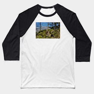 Swiss alps Baseball T-Shirt